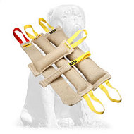 Mastiff Adult Dog Training Set