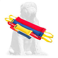Mastiff Durable Adult Dog Training Set