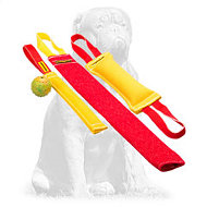 Mastiff Puppy Training Set Made of French Linen