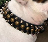 Mastiff Leather Spiked and Studded Collar 3 Rows Mastiff Leather Spiked and Studded Collar 3 Rows
