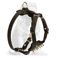Mastiff Leather Puppy Harness with Spiked Padded Chest Plate