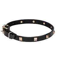 Mastiff Impressive Leather Dog Collar with Brass Studs Mastiff Impressive Leather Dog Collar with Brass Studs