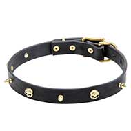 Mastiff Leather Collar with Brass Spikes and Skulls 1 inch (25 mm) wide Mastiff Leather Collar with Brass Spikes and Skulls 1 inch (25 mm) wide