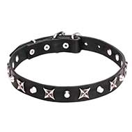 Mastiff Leather Dog Collar with Shiny Nickel Plated Stars and Pyramids