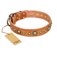 'Feast of Luxury' FDT Artisan Mastiff Tan Leather Dog Collar with Old Bronze-Like Plated Circles - 1 1/2 inch (40 mm) wide