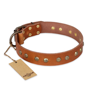 'Spring Flavor' FDT Artisan Mastiff Tan Leather Dog Collar with Old Bronze-Like Plated Engraved Studs 1 1/2 inch (40 mm) wide