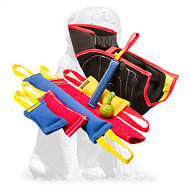 Mastiff Professional Dog Training Set