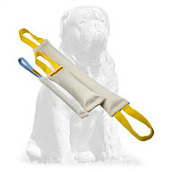 Fire Hose Bite Tugs - Training Set