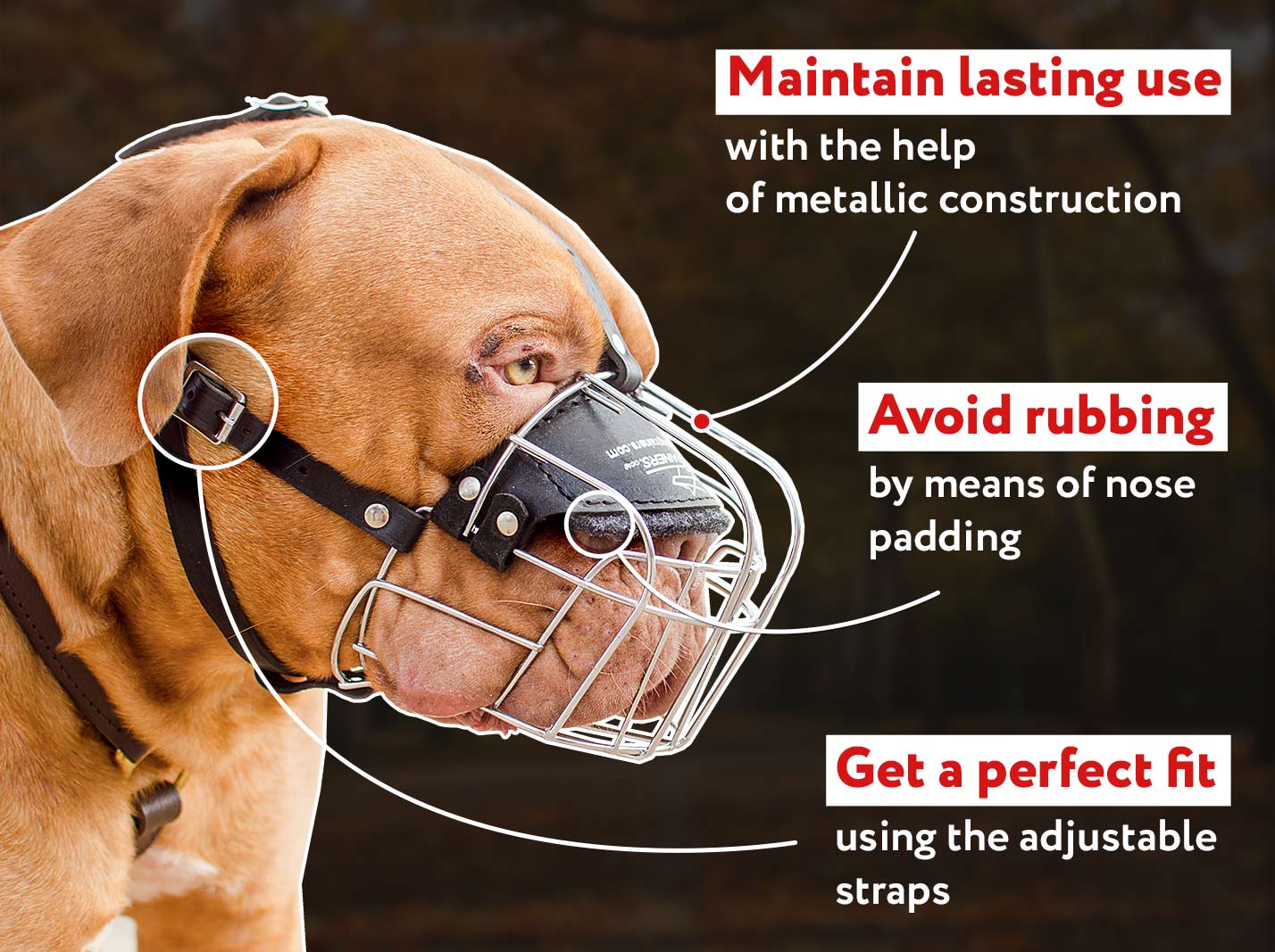 Leather Dog Muzzle for Dogue de Bordeaux and Bullmastiff Mastiff