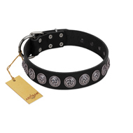 "Black Raven" Handmade FDT Artisan Black Leather Mastiff Collar with Silver-Like Adornments
