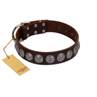 "Charming Circles" FDT Artisan Brown Leather Mastiff Collar with Silver-like Studs