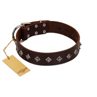"Boundless Energy" Premium Quality FDT Artisan Brown Designer Leather Mastiff Collar with Small Pyramids