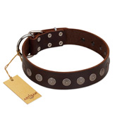 "Starry-Eyed" Best Quality FDT Artisan Brown Designer Leather Mastiff Collar with Small Plates