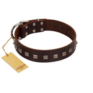 "Kingly Grace" FDT Artisan Brown Leather Mastiff Collar with Silver-like Dotted Studs