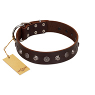 "Dark Chocolate" Handmade FDT Artisan Brown Leather Mastiff Collar with Studs