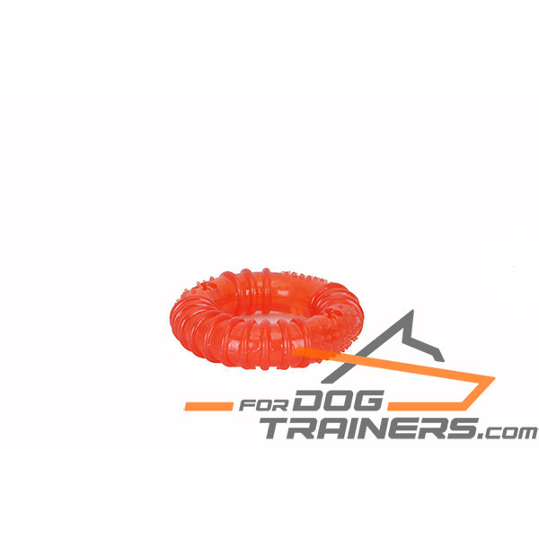 Interactive Dog Treat Holder