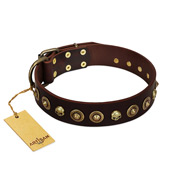 "Street Fashion" FDT Artisan Brown Leather Mastiff Collar Adorned with Circles and Skulls