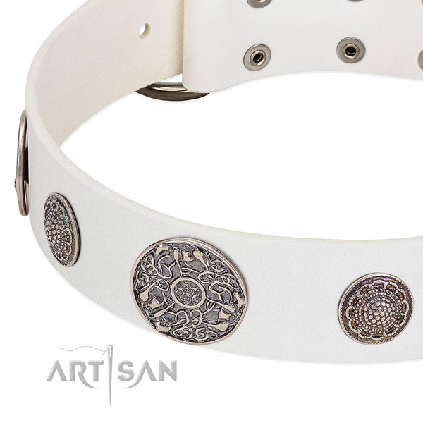 Corrosion resistant D-ring on genuine leather dog collar