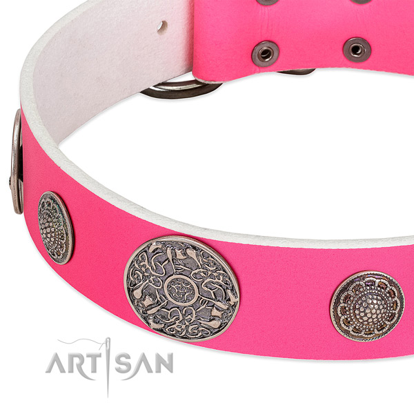 Corrosion proof embellishments on full grain genuine leather dog collar