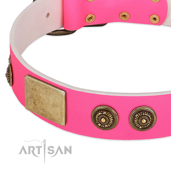 Designer dog collar crafted for your lovely pet