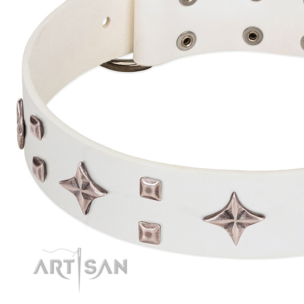 Exceptional genuine leather dog collar for stylish walking