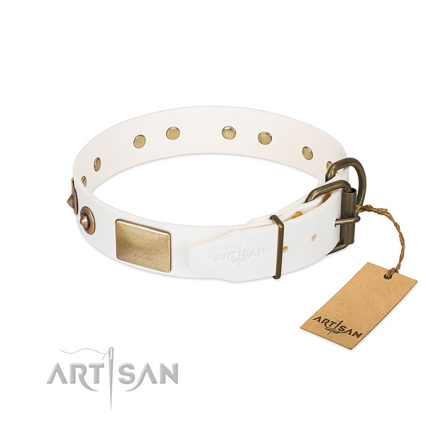 Corrosion proof studs on full grain natural leather dog collar for your canine