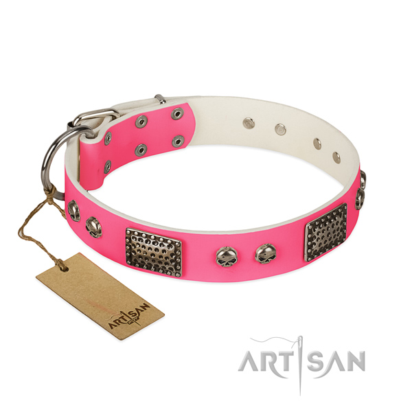 Easy adjustable full grain genuine leather dog collar for stylish walking your pet