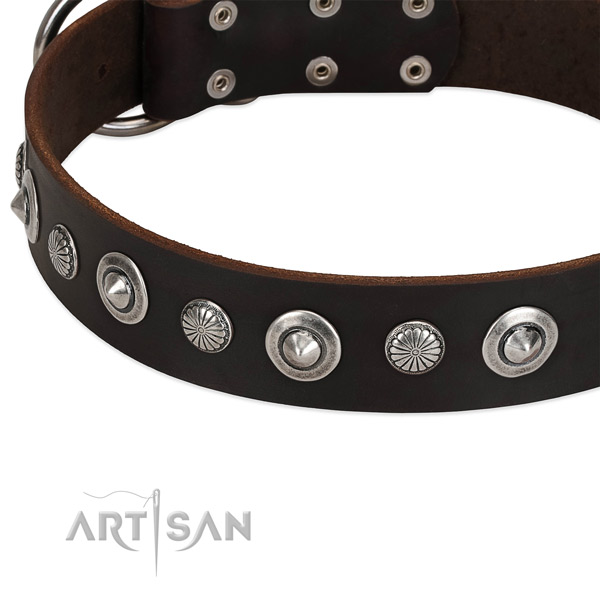 Top notch studded dog collar of top notch genuine leather