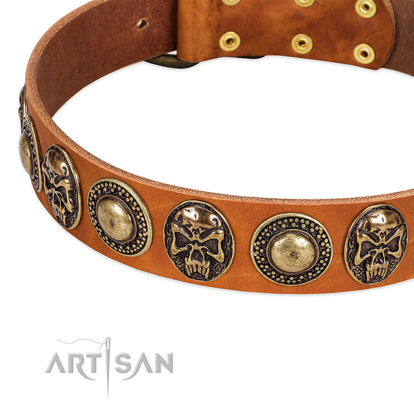 Rust-proof buckle on genuine leather dog collar for your four-legged friend