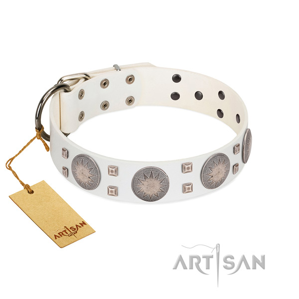 Extraordinary full grain natural leather dog collar for daily walking your pet