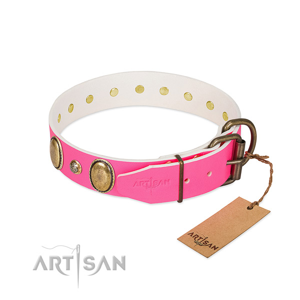 Stylish walking full grain leather dog collar