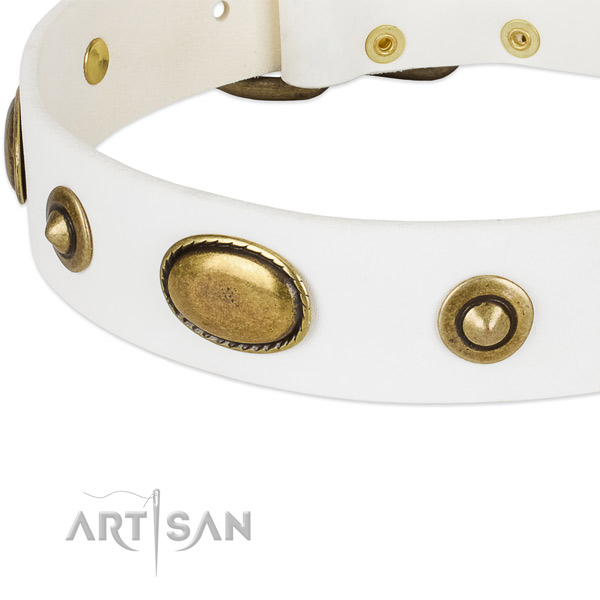Rust resistant fittings on full grain leather dog collar for your canine