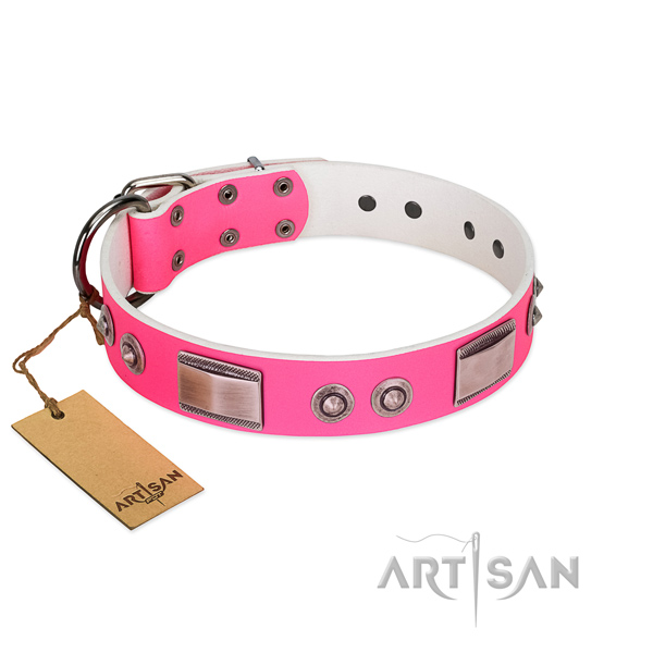 Stunning natural leather collar with adornments for your four-legged friend