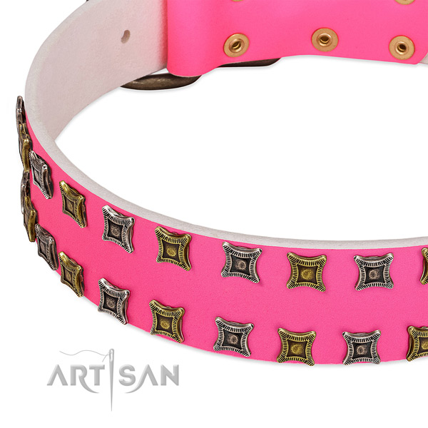 Genuine leather dog collar with embellishments for your stylish dog