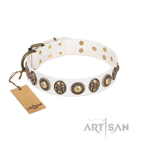 Easy adjustable full grain natural leather dog collar for stylish walking your four-legged friend