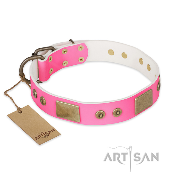 Amazing natural genuine leather dog collar for everyday walking