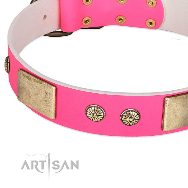 Rust resispinkt decorations on genuine leather dog collar for your pet