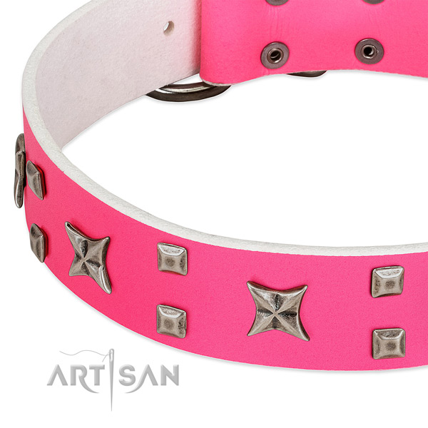 Exceptional full grain leather collar for your canine daily walking