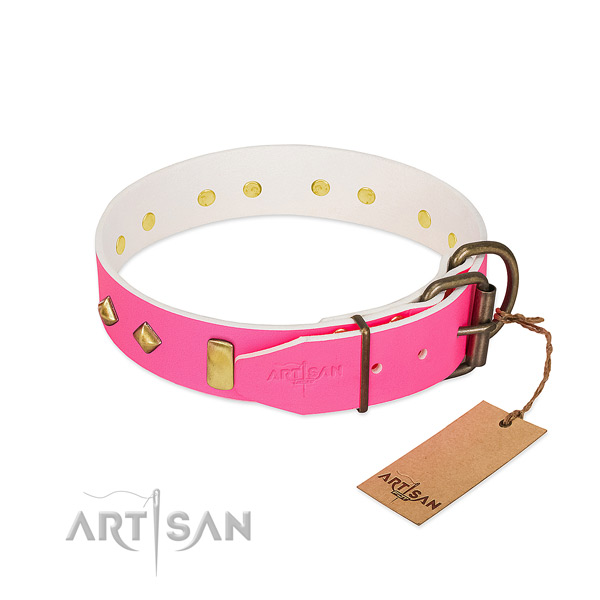 Full grain leather dog collar with rust resistant buckle for handy use