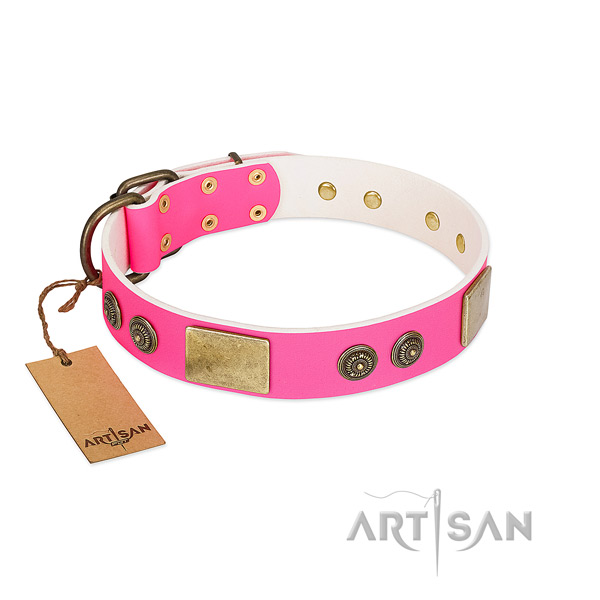 Inimitable genuine leather dog collar for daily use