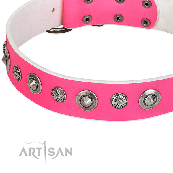 Genuine leather collar with rust-proof D-ring for your stylish doggie