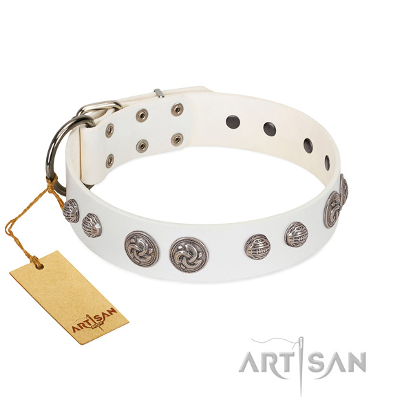 Reliable embellishments on leather dog collar for your doggie