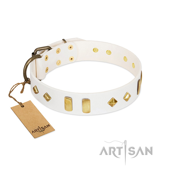 Daily use top notch leather dog collar with studs