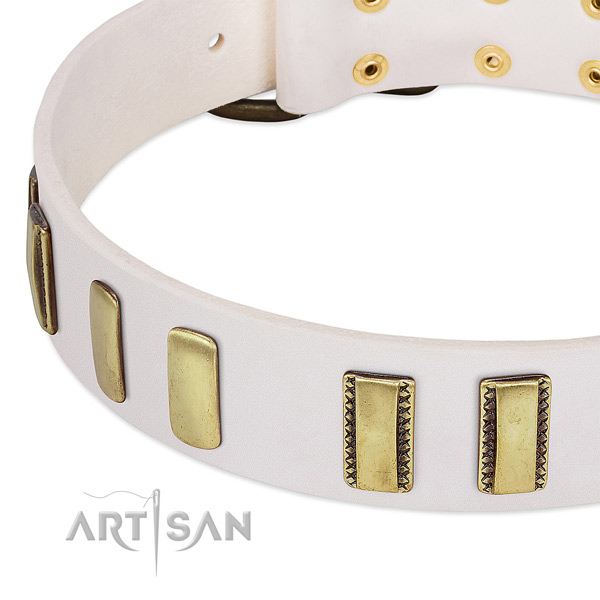 Top rate genuine leather dog collar with embellishments for comfy wearing