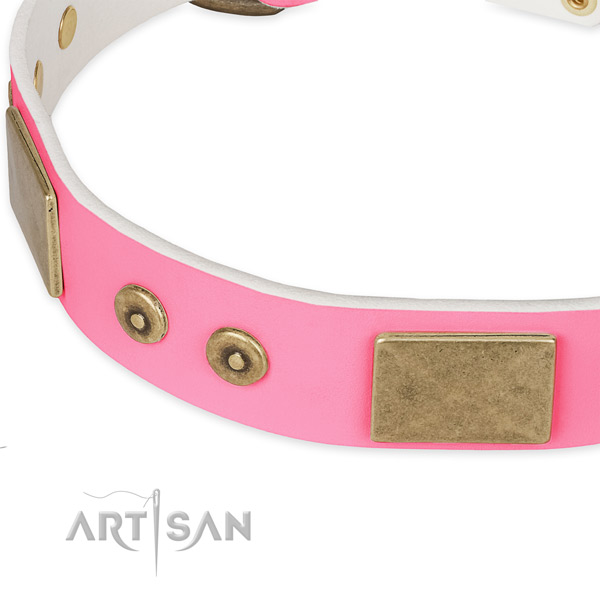 Leather dog collar with embellishments for handy use