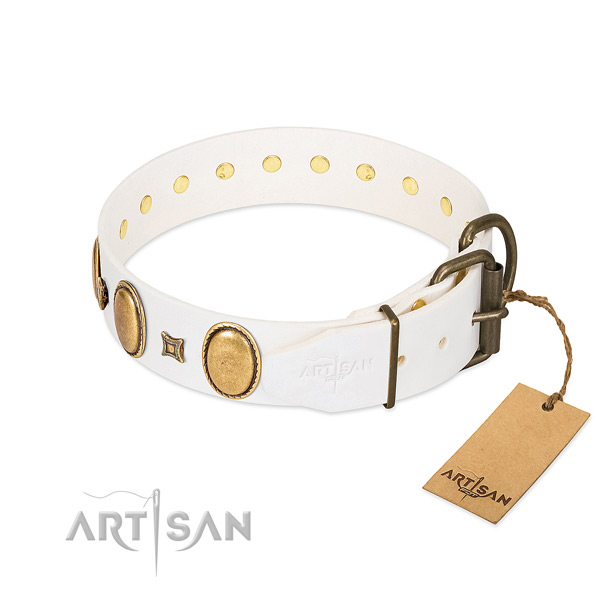 Corrosion resistant embellishments on comfy wearing dog collar