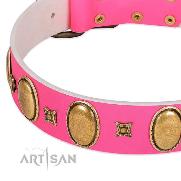 Gentle to touch full grain natural leather dog collar with decorations for everyday walking