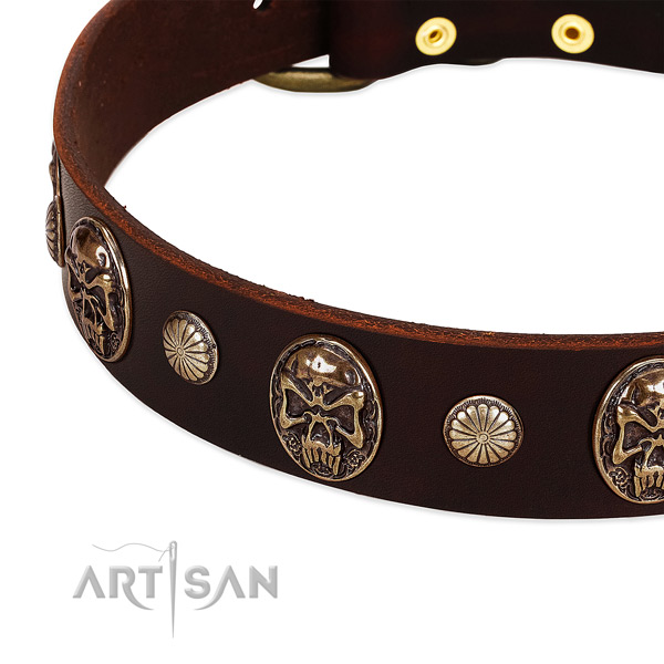 Full grain natural leather dog collar with adornments for everyday walking