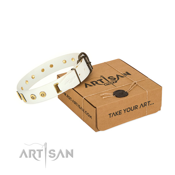 Full grain leather dog collar with stylish design studs for walking