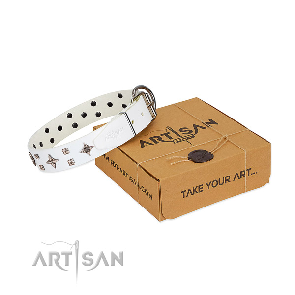 Unusual full grain natural leather collar for your dog stylish walking